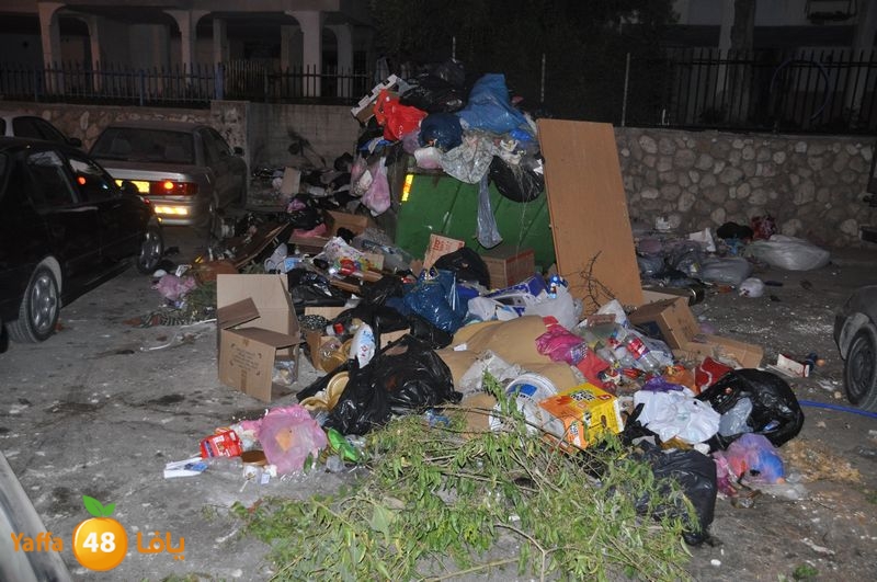 trash lud 907 (10).JPG